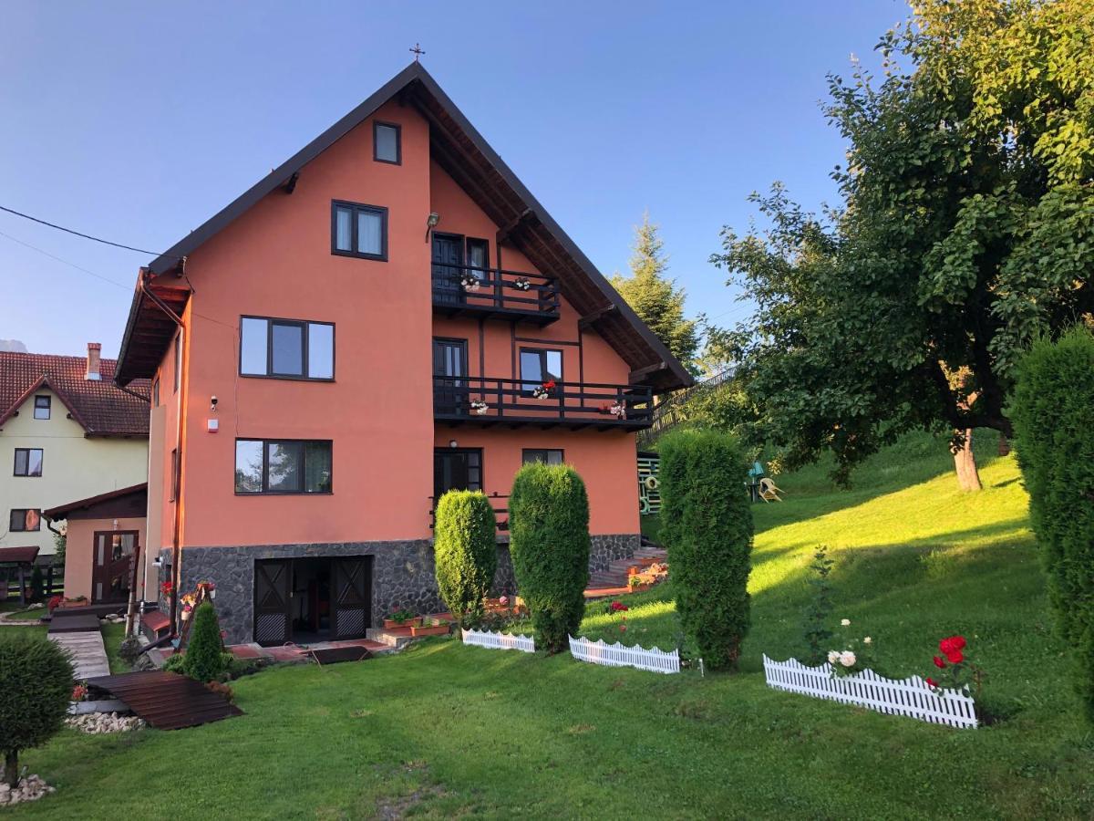 Pensiunea Esenzza Bran  Exterior foto